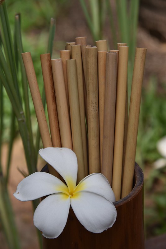 bamboo straw