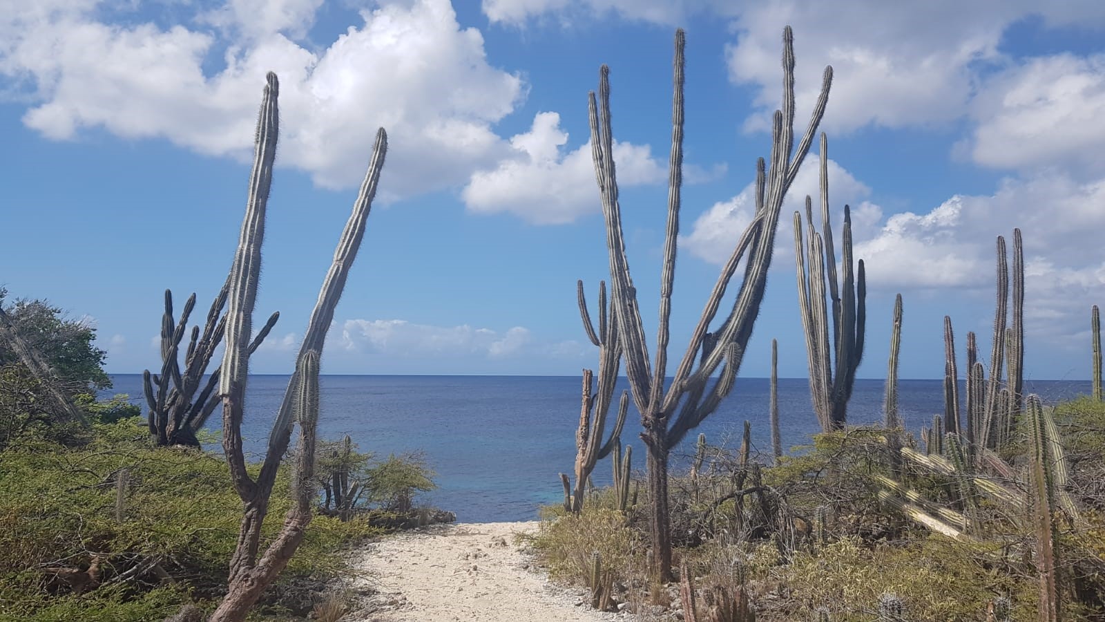 TAP WATER IN ARUBA, BONAIRE & CURAÇAO Refill Ambassadors